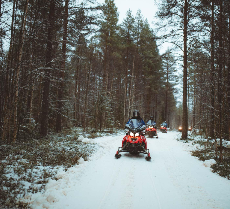 Rovaniemi: Early Winter 2 Hour Snowmobile Safari