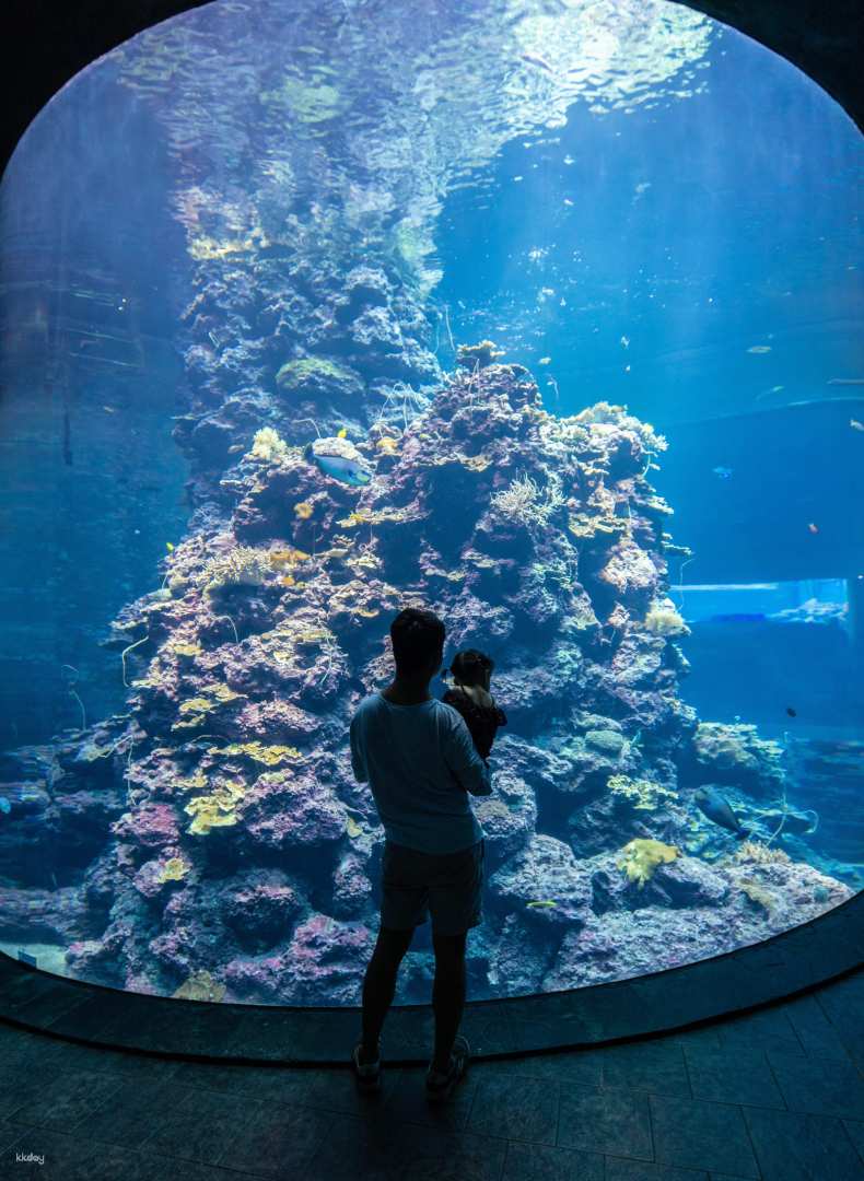 Pingtung Marine Life Museum: Journey with the Fish, Overnight Mini Narrator, Night Patrol Tide Sea Party & My Penguin