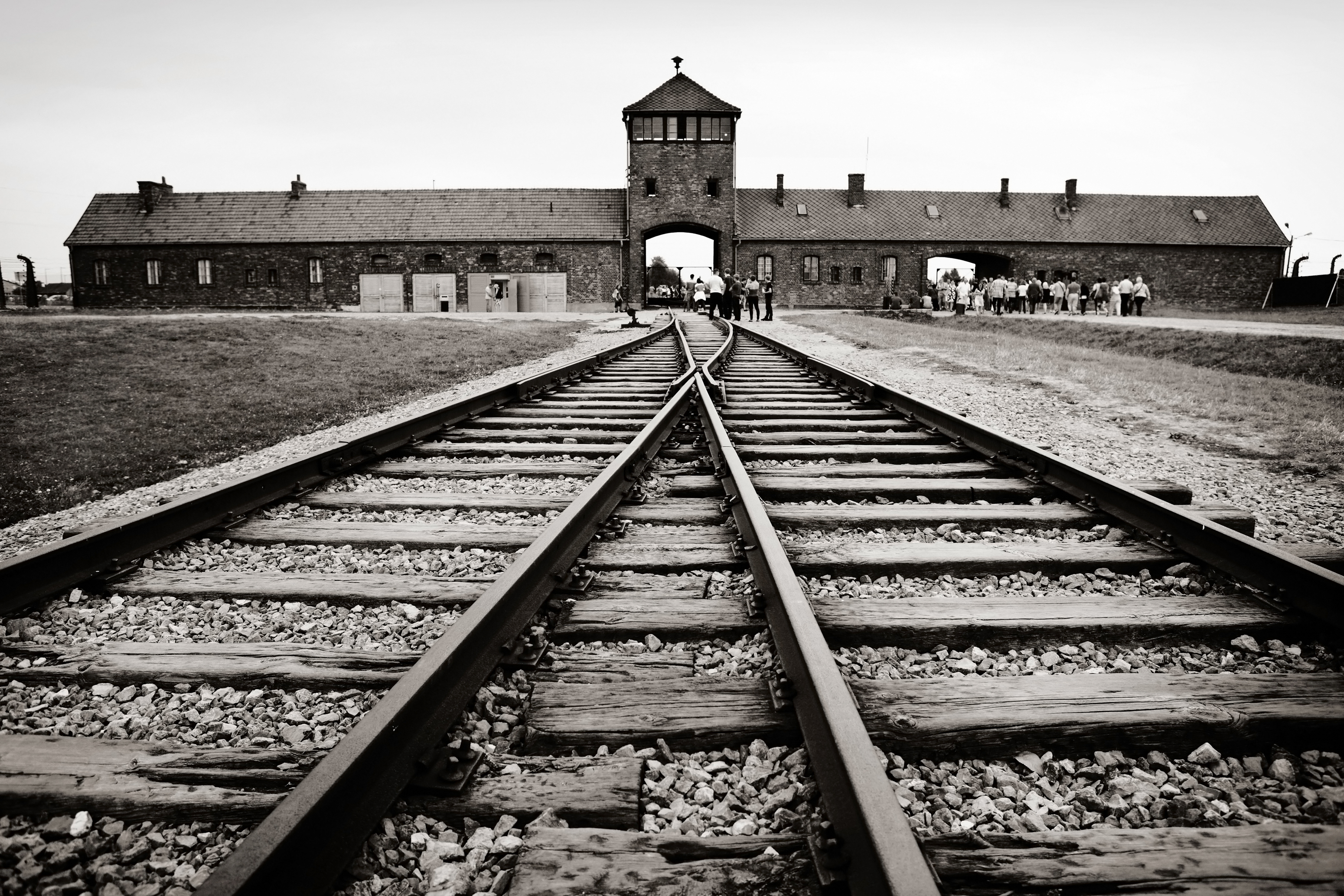Auschwitz-Birkenau & Wieliczka Salt Mine: Guided Tour + Transport