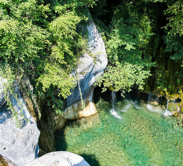 Nice: Countryside Tour with Grasse