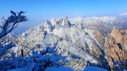 Winter Special | From Seoul: Seoraksan + Eobi Valley + Nami Island 1-day tour Day Tours