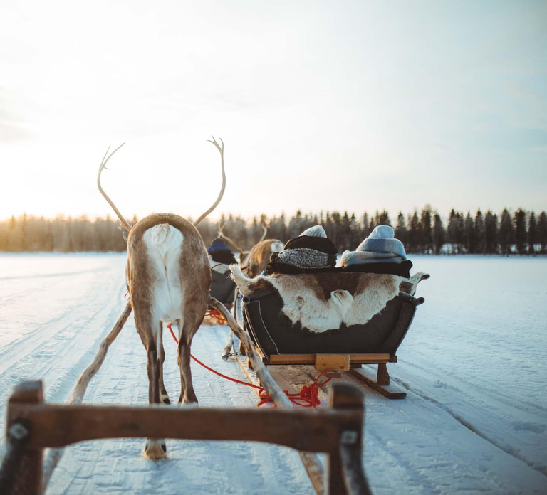 Rovaniemi: Apukka Reindeer Journey