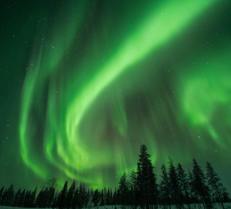 Rovaniemi: Insider Christmas and New Year Family Package