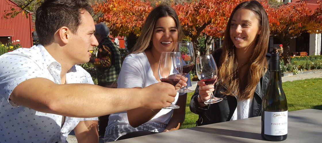 Queenstown Half Day Wine Tour - HolidaySG