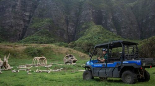 Kualoa Ranch UTV Driving Experience in Hawaii