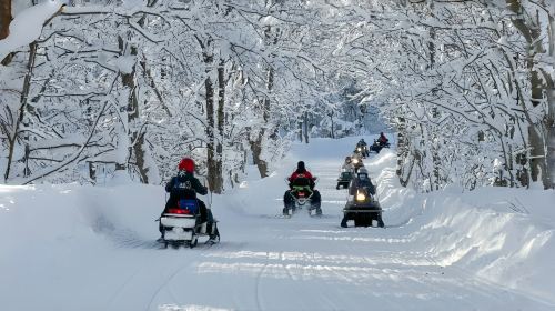 1-day tour to Sapporo Lake Tōya + Fukidashi park + Noboribetsu Jigokudani Valley + lakeside farm Day Tours