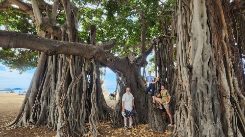 Oahu: Diamond Head E-bike Scenic Ride Day Tours