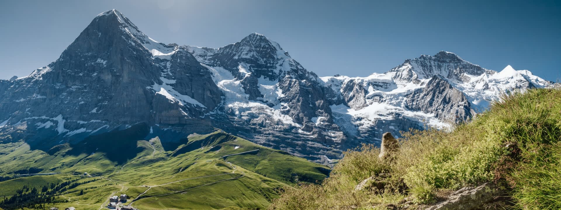 Jungfraujoch Top of Europe Attraction and Train Tickets from Grindelwald via Kleine Scheidegg