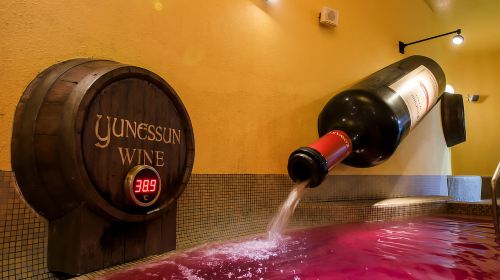 Kowakien Yunessun Hot Springs Entry Ticket Day Tours