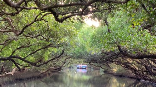 Tainan highlights one-day tour with shared transportation [Depart from Kaohsiung | Guided tour in Chinese/English/Korean]