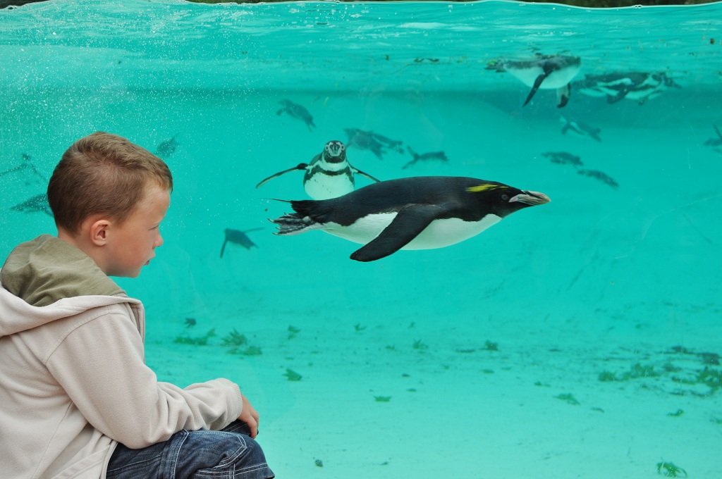 London Zoo