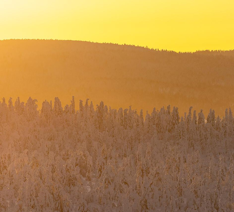 Kuusamo/Rovaniemi: Korouoma with biologist/photographer