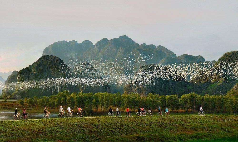 Thung Nham Bird Park in Ninh Binh - HolidaySG