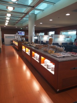 Airport Lounge Francisco Sa Carneiro Airport - HolidaySG