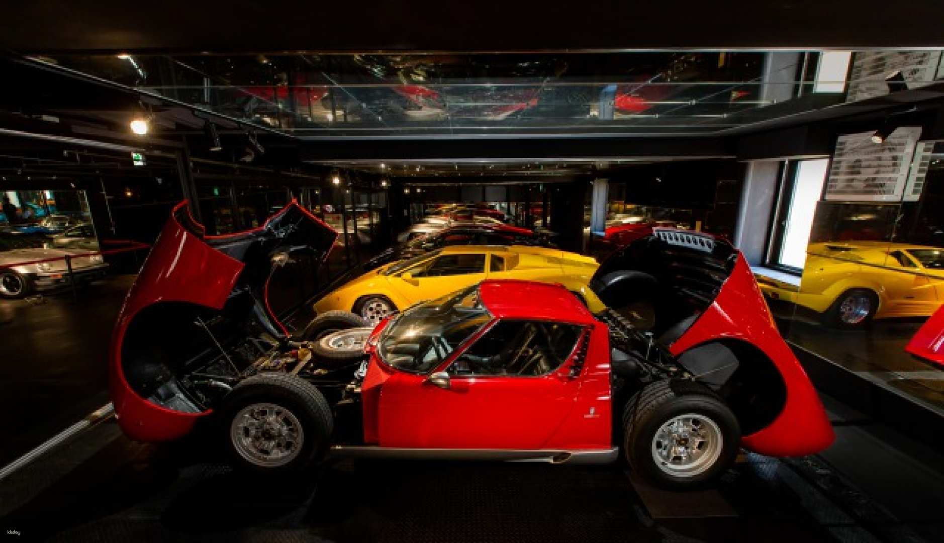 Torino Museum Advance Ticket|May be Used on Day of Purchase