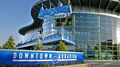 Denver: Downtown Aquarium All-Day Pass Day Tours