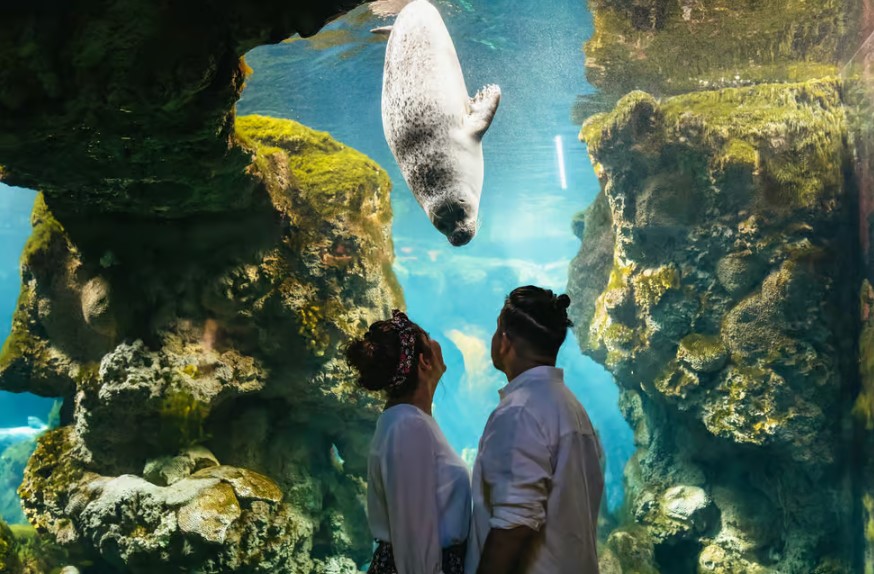 Genoa: Aquarium of Genoa Entry Ticket
