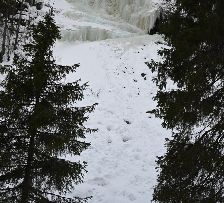 Rovaniemi: Korouoma Canyon Guided Hike with Snacks