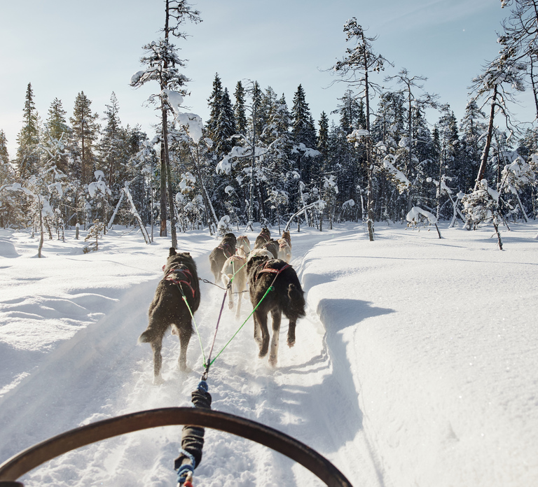 Rovaniemi: Santa Claus Village Husky Ride