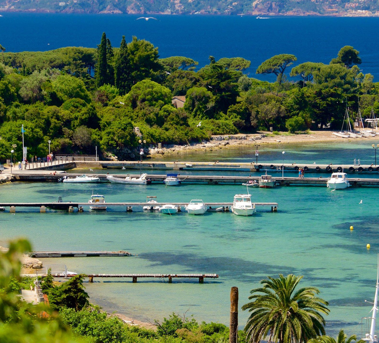 Cannes: Private Boat Trip to Lerins Islands & Cap d'Antibes
