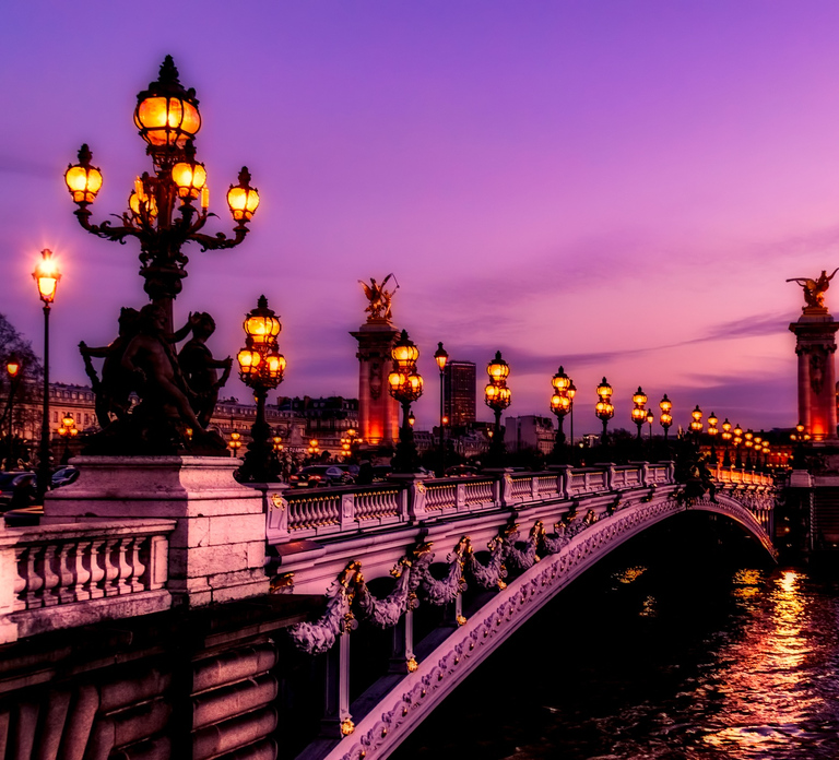 Paris: New Year’s Eve Dinner Cruise on the Seine River