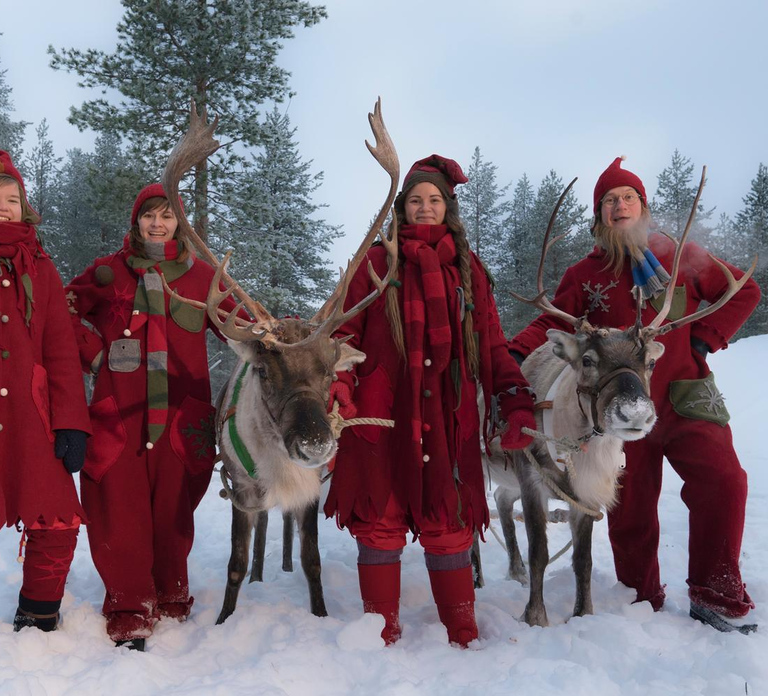 Rovaniemi: Meet Santa's Favorite Reindeer