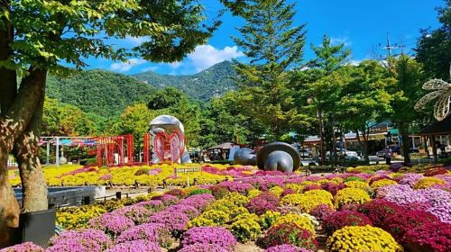 Pocheon Sanjeong Lake, Herb Island, Apple Farm Full Day Tour
