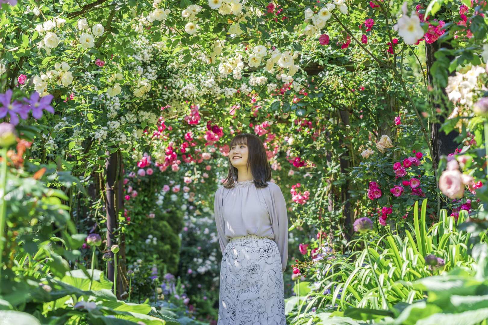 [Up To JP¥200 Discount] [For Same-Day Use] Acao Forest (Akao Herb & Rose Garden): Advance Ticket/Handmade Experience | Shizuoka