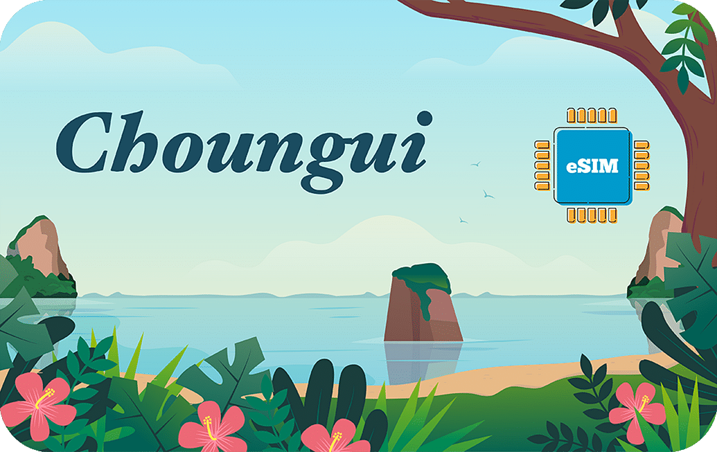Airalo Mayotte e-Sim Package