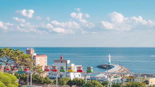 Busan's Best: Sea Temples, Yacht Tour & Sky Capsule Day Tour