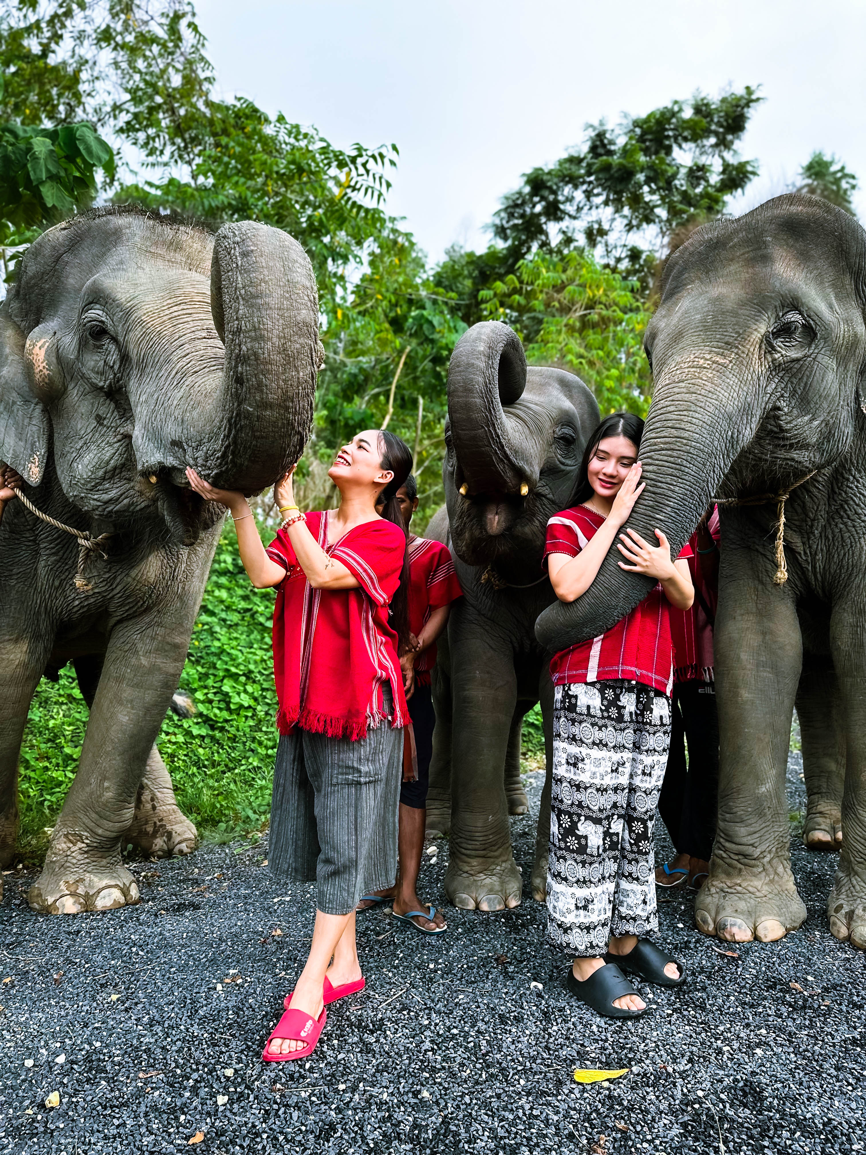 Kerchor Elephant Family Phuket