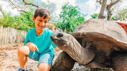 Tampa: ZooTampa at Lowry Park Ticket with After Hours Option Day Tours