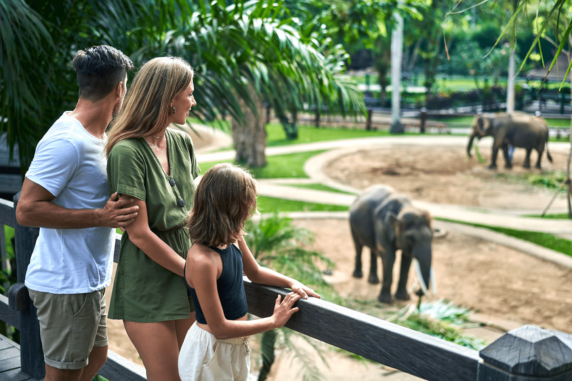 Elephant Park Tour