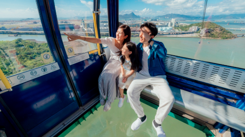 Hong Kong Ngong Ping 360 cable car ticket - standard cabin/Crystal Cabin/panoramic cabin Transport Passes - HolidaySG