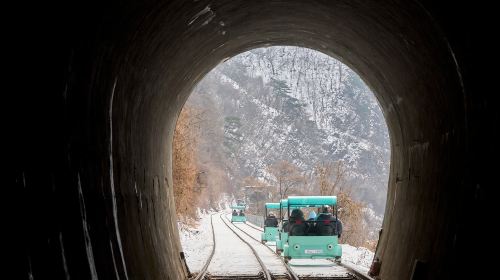 From Seoul: Nami Island + Eobi Valley + Rail Bike + Petite France Day Tours