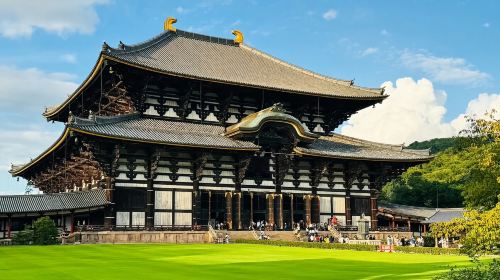 1-day tour to Kinkaku-ji, Kiyomizu-dera temple and Fushimi Inari Taisha in Kyoto, Japan Day Tours