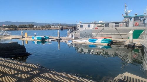 Redwood City: Stand-Up Paddleboard Rental Day Tours