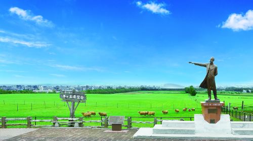 Hokkaido, Japan Okurayama Ski Jumping Stadium + Hitsujigaoka Observatory Half Day Tour: Sapporo Afternoon Sightseeing Day Tours