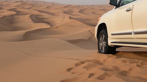 Dubai Desert Safari With4x4 Pick/Drop camel ride BBQ dinner shows Day Tours