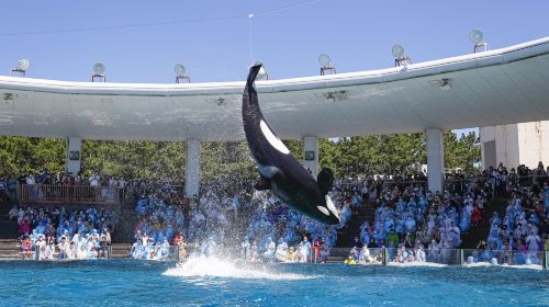 Kamogawa Seaworld - HolidaySG