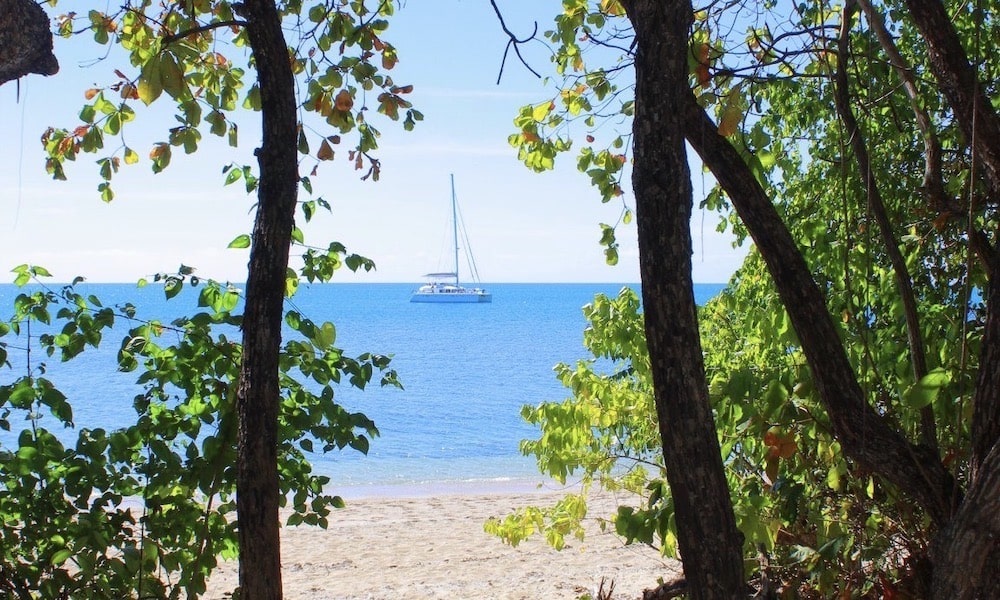 Wavedancer Low Isles Cruise from Port Douglas Marina