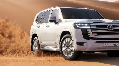 Vip Desert Safari Dubai with Camel Riding BBQ Dinner & Live Shows Day Tours