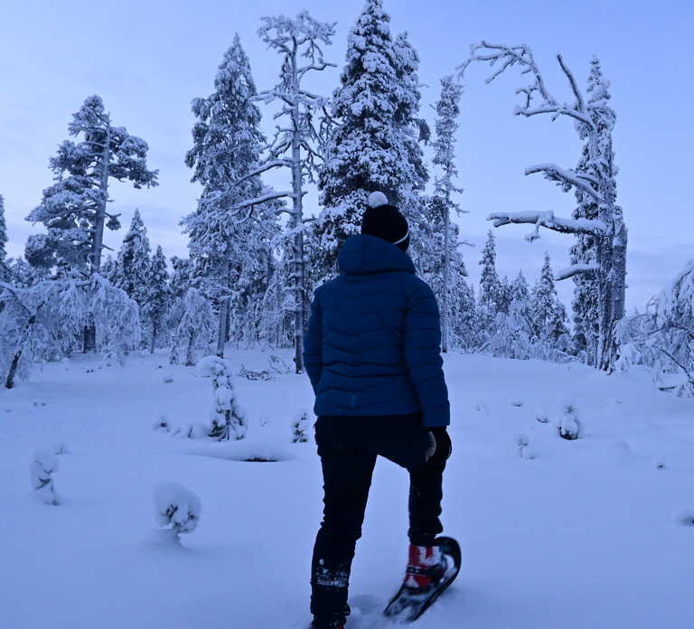 Saariselkä: Snowshoeing Tour in Urho Kekkonen National Park