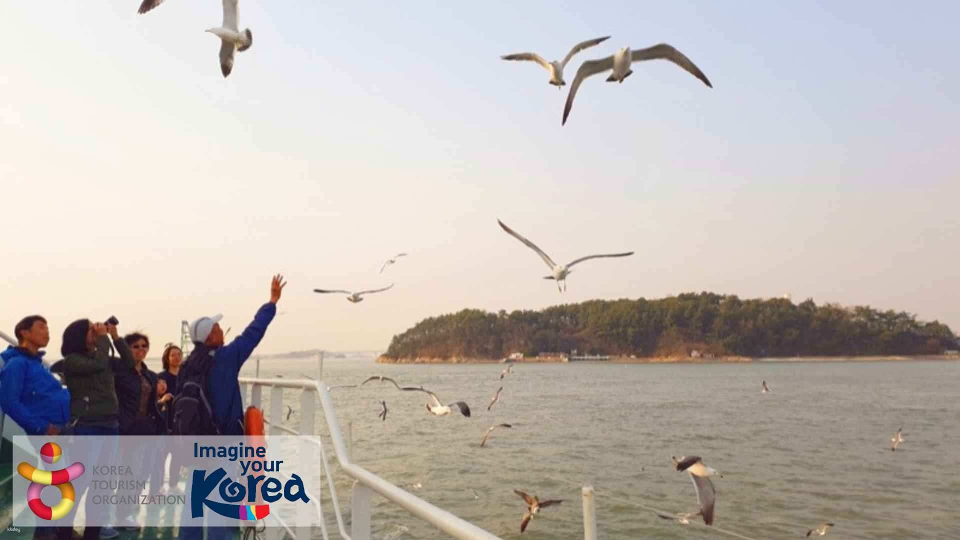 One-day tour / Incheon | Gwangmyeong Cave + Songwol-dong Fairy Tale Village & Chinatown + Wolmido seagull feeding + Yeongjongdo rail bike (departing from Seoul)