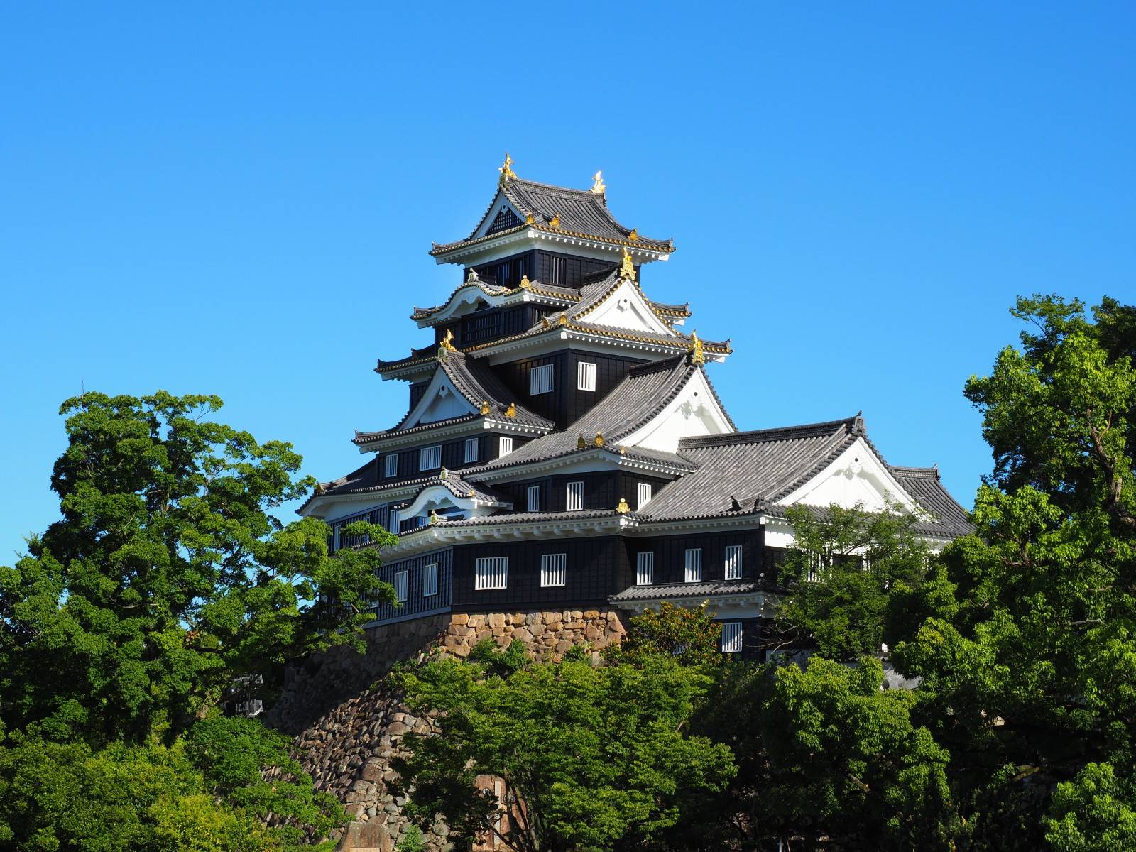 Admission Ticket  Okayama Castle