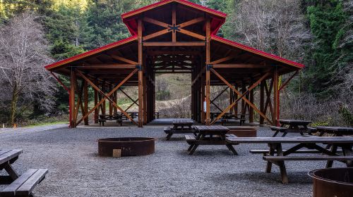 Redwoods Train Ride and Nightclub
