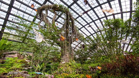 Entopia - HolidaySG