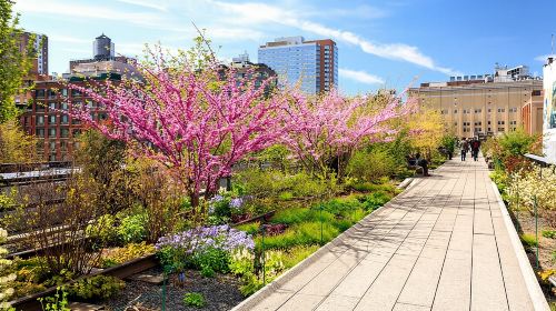 High Line and Chelsea Small Group Tour