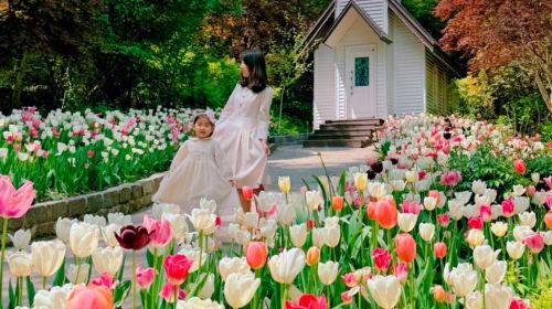Gyeonggi Province|Nami Island x Petite France x Italian Village x The Garden of Morning Calm Day Tours