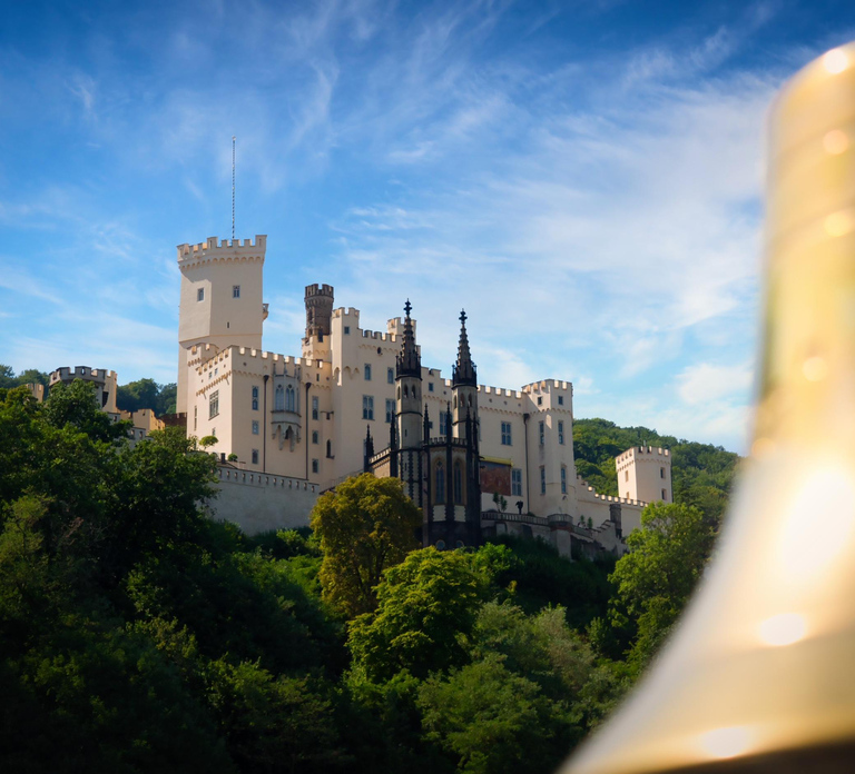 Koblenz:Rhine Valley boat tour along the castles and palaces